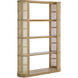 Behati Light Wash Bookcase